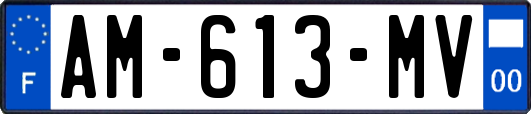 AM-613-MV