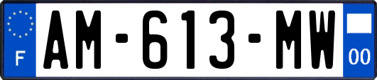 AM-613-MW