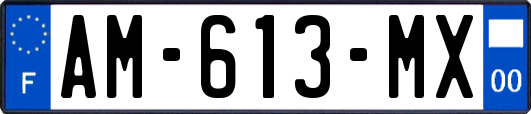 AM-613-MX