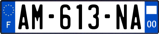 AM-613-NA
