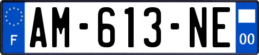 AM-613-NE
