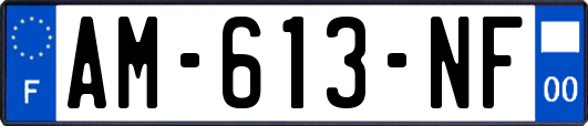 AM-613-NF