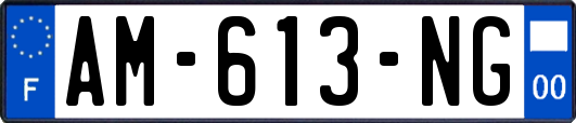 AM-613-NG