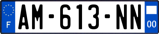 AM-613-NN