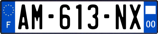 AM-613-NX