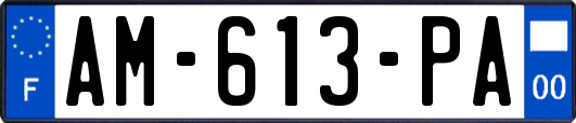 AM-613-PA