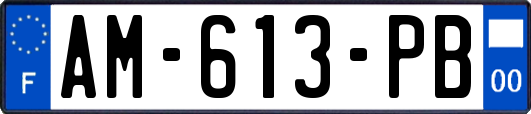 AM-613-PB