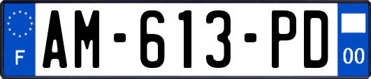 AM-613-PD