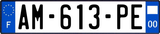 AM-613-PE