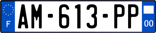 AM-613-PP