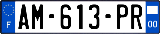 AM-613-PR