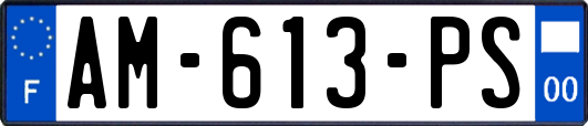 AM-613-PS
