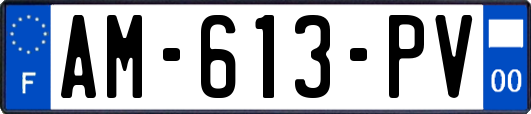 AM-613-PV