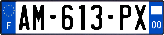 AM-613-PX