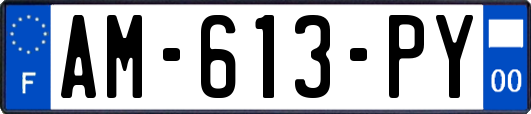 AM-613-PY