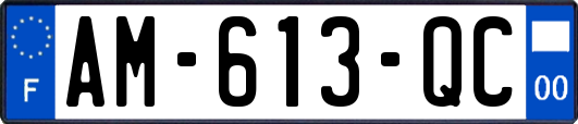 AM-613-QC