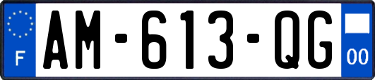 AM-613-QG