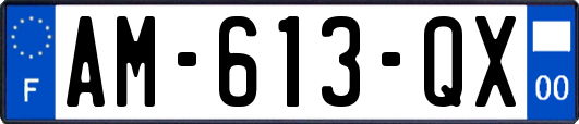 AM-613-QX