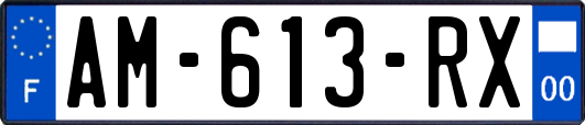 AM-613-RX