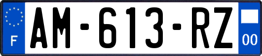 AM-613-RZ