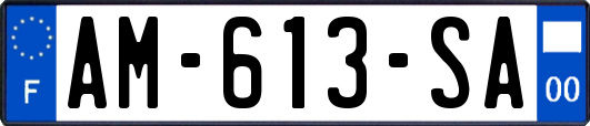 AM-613-SA