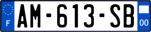 AM-613-SB