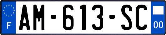 AM-613-SC