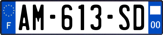AM-613-SD