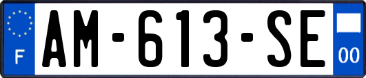 AM-613-SE