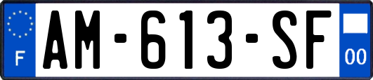 AM-613-SF