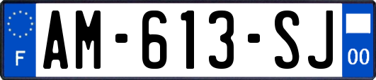 AM-613-SJ