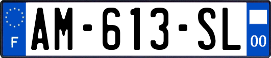 AM-613-SL