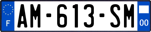 AM-613-SM
