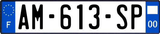 AM-613-SP