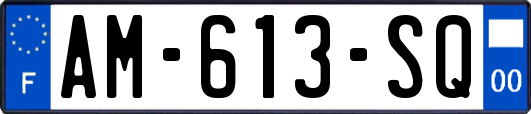 AM-613-SQ
