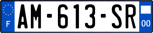 AM-613-SR