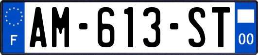 AM-613-ST
