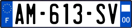 AM-613-SV