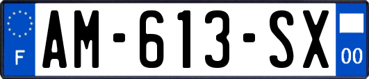 AM-613-SX