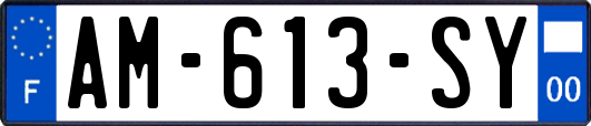 AM-613-SY