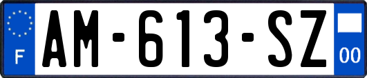 AM-613-SZ