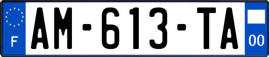 AM-613-TA