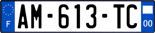 AM-613-TC