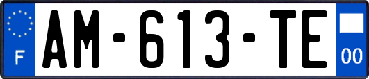 AM-613-TE