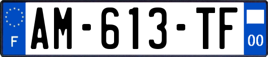 AM-613-TF