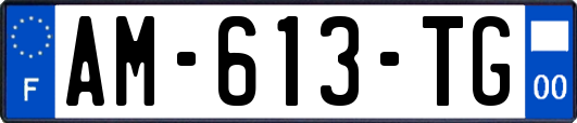 AM-613-TG