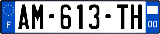 AM-613-TH