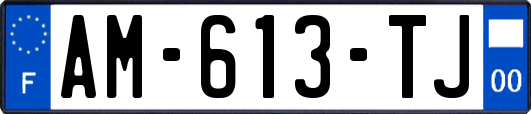 AM-613-TJ