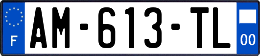 AM-613-TL