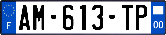 AM-613-TP